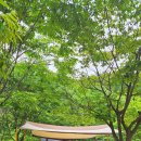 초막골생태공원 이미지