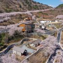 월아산 숲속의 진주 자연휴양림 연합뉴스