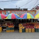 명동청과