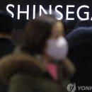 신세계정보