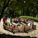 노벨생태어린이집 이미지