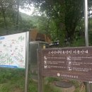 오서산자연휴양림 | 대전 공주 보령 서산 여행 후기 2 - 오서산자연휴양림, 월정사, 보령 우유창고, 서산 삼길포항 후기