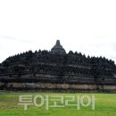 뉴발리 이미지