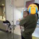 농업회사법인 호원한우(주) | 8개월 9개월 아기 0세반 어린이집 장염 기록, 엄마아빠도 아픈 한 주