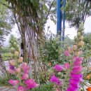 국립현대미술관.과천관- 서울대공원내 테마가든(모란 ' 작약정원및 시민참여작품공모수상작품)- 호수둘레길- 미리내다리- 셔울대공원역가는 길 이미지