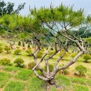 반송목장 이미지