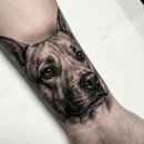 나의 단짝 반려동물 이미지