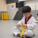 누리태권도 이미지