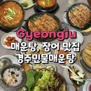 경주동궁원 주령구화장실 | 경주 동궁원 맛집 경주민물매운탕 장어구이, 민물참게탕 추천