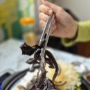 능이버섯백숙 이미지