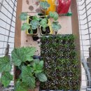 와부농업협동조합 하나로마트 이미지