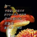 맴맴 - 광산구 임방울대로826번길 19-20 | 맴맴