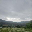 영춘지맥 씨코스 풍취산을 향해.. 이미지