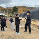 내면 창촌초등학교 강원신문