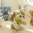 퍼피멜로디 이미지