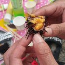 나곡해수욕장 이미지