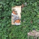 거제시농업개발원 이미지