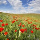 신구대학교 식물원 갤러리 우촌 이미지