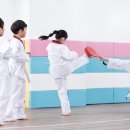 동아대 수월태권도 이미지