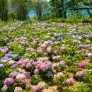 웅천 친수공원 공영주차장 이미지