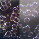 반룡인수한의원 이미지