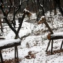 바람모퉁이어린이공원 이미지