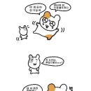 한국D&P 이미지