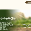더 든든한 영농조합법인