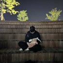 세븐일레븐 대전보라공원점 | 도비는 자유를 찾아 떠나요