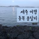 순희네토스트&커피 | [국내 여행] 제주 혼자 여행 종달리 숙소 식당 추천 후기