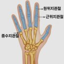 상상오리간석 | 근골격계 시험 찝어주신 것