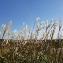 수아농장 이미지