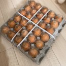 에그번 주식회사 이미지