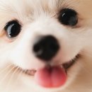 한결같이 이미지