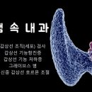 샘속내과의원 이미지