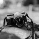 동영상 편집(곰믹스, 파워디렉터) 이미지