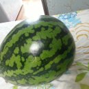 용수펜션 이미지