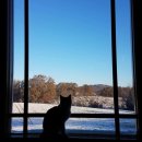 성가농장 이미지