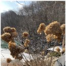 별빛계곡펜션 이미지