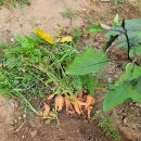 옥길농장 이미지