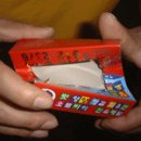 스트럿 Daum카페