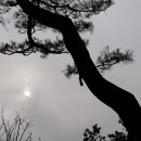 부동산월드 이미지