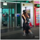 여행시작 이미지