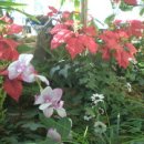 성화주단 이미지