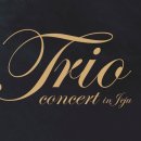 [특별할인 및 인터파크티켓마감] Trio Concert in Jeju - 이경선, 송영훈, 박종화 이미지