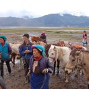 무릉도원마을 이미지