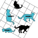 주식회사 신비 이미지