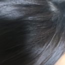 트루헤어 | 다이소 BEST 헤어식초 인정! 정직한실험실 트루랩 스칼프 헤어 식초 솔직 후기
