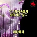 그리움속에 살아가는 삶 // 행복한 사람 // 이미지