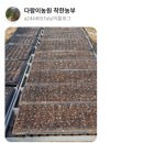 다람이마을 이미지